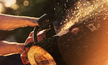 Pourquoi la tronçonneuse a été inventée ?