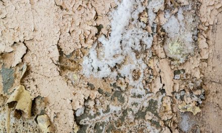 Salpêtre sur les murs : quels sont les risques ?