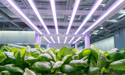 Où trouver des LED pour la culture indoor ?