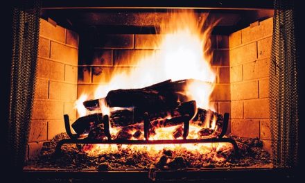 Les différents types de bois de chauffage : avantages et inconvénients