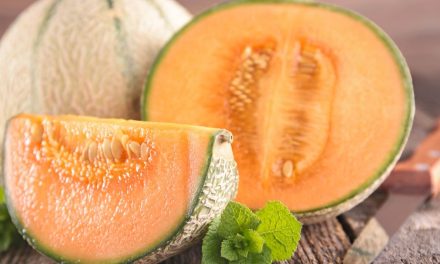 Combien de melon par pied pour profiter d’une bonne récolte ?