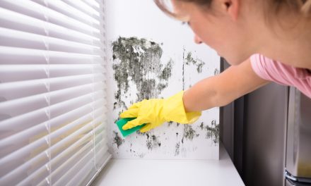 Les solutions efficaces pour éliminer les taches d&rsquo;humidité