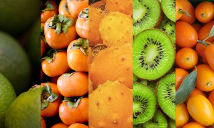 Fruits en K : la liste complète