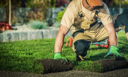 Comment trouver un paysagiste de confiance à Pornic ?