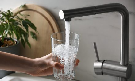 Adoucisseur d&rsquo;eau au CO2 ou au sel, lequel choisir ?