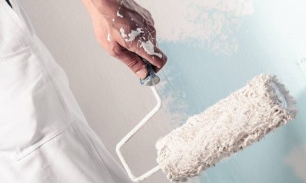 Rénovation : quels sont les différents types de peintures et comment bien les choisir ?