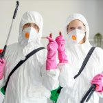 Désinsectisation Marseille : des solutions professionnelles pour une maison sans cafards