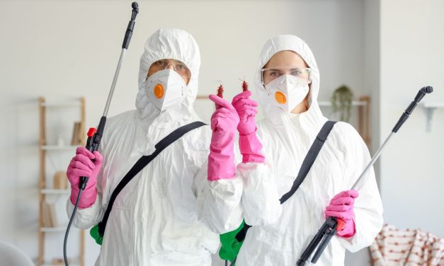 Désinsectisation Marseille : des solutions professionnelles pour une maison sans cafards