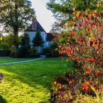 Comment choisir son paysagiste dans le Calvados selon son projet ?