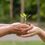 Pourquoi choisir un paysagiste RSE pour vos projets d&rsquo;aménagement ?